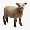 Lamb Qurbani -  (1 Year of age and meat Approx 18 - 22Kg)